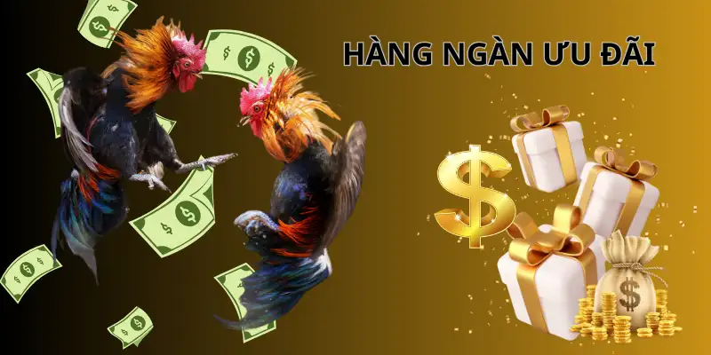 Đá gà WS168: Thưởng nạp, hoàn tiền, quà tặng hấp dẫn Đá gà WS168: Thưởng nạp, hoàn tiền, quà tặng hấp dẫn